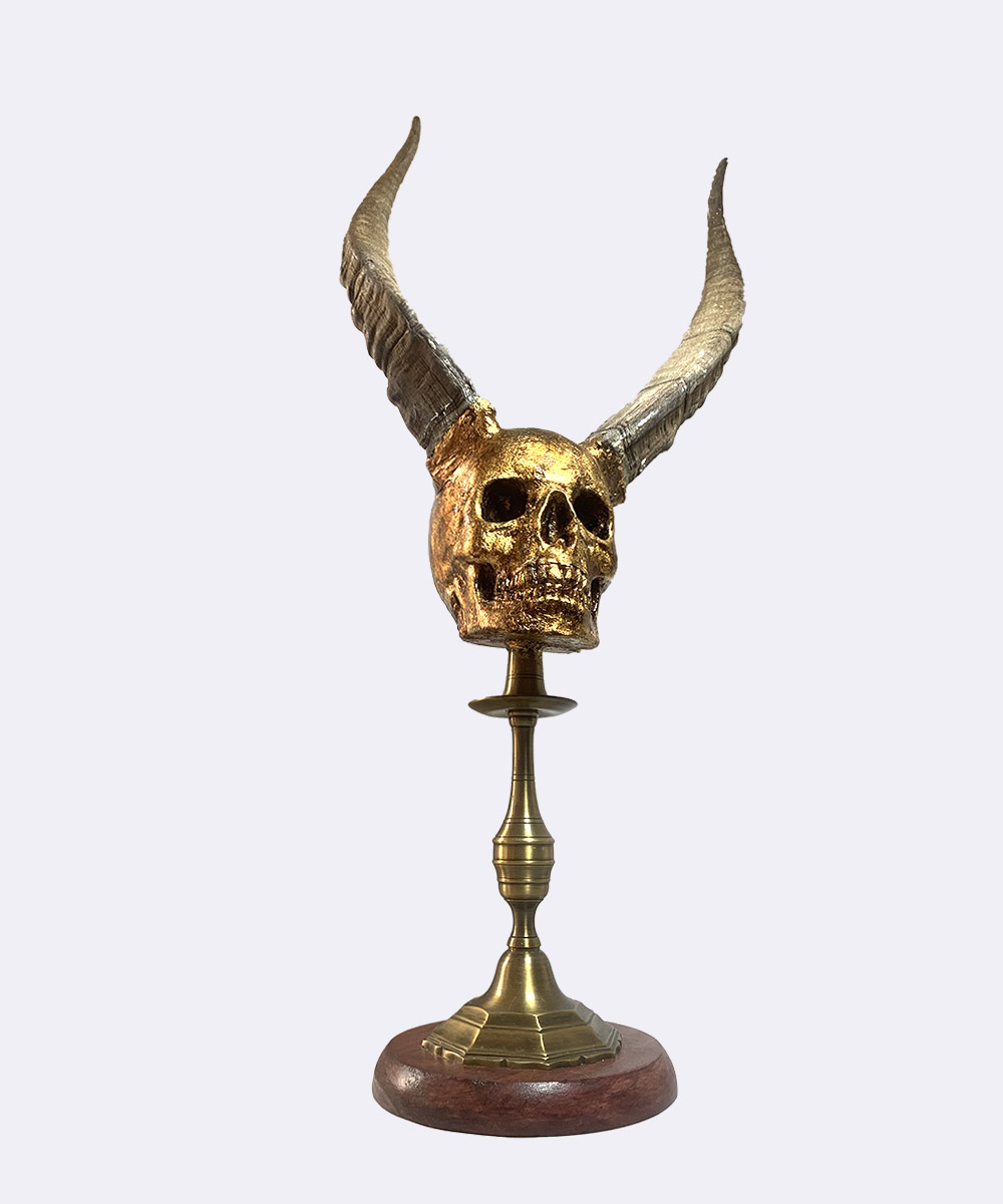 pedestal cráneo calavera con cuernos reales de cabra macho hispánica