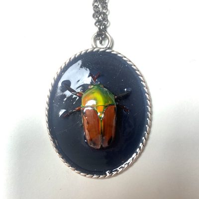 camafeo escarabajo