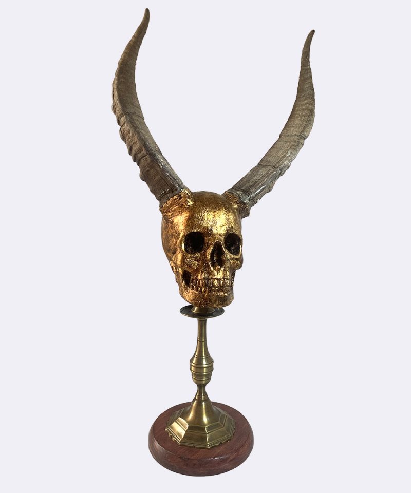 pedestal cráneo calavera con cuernos reales de cabra macho hispánica