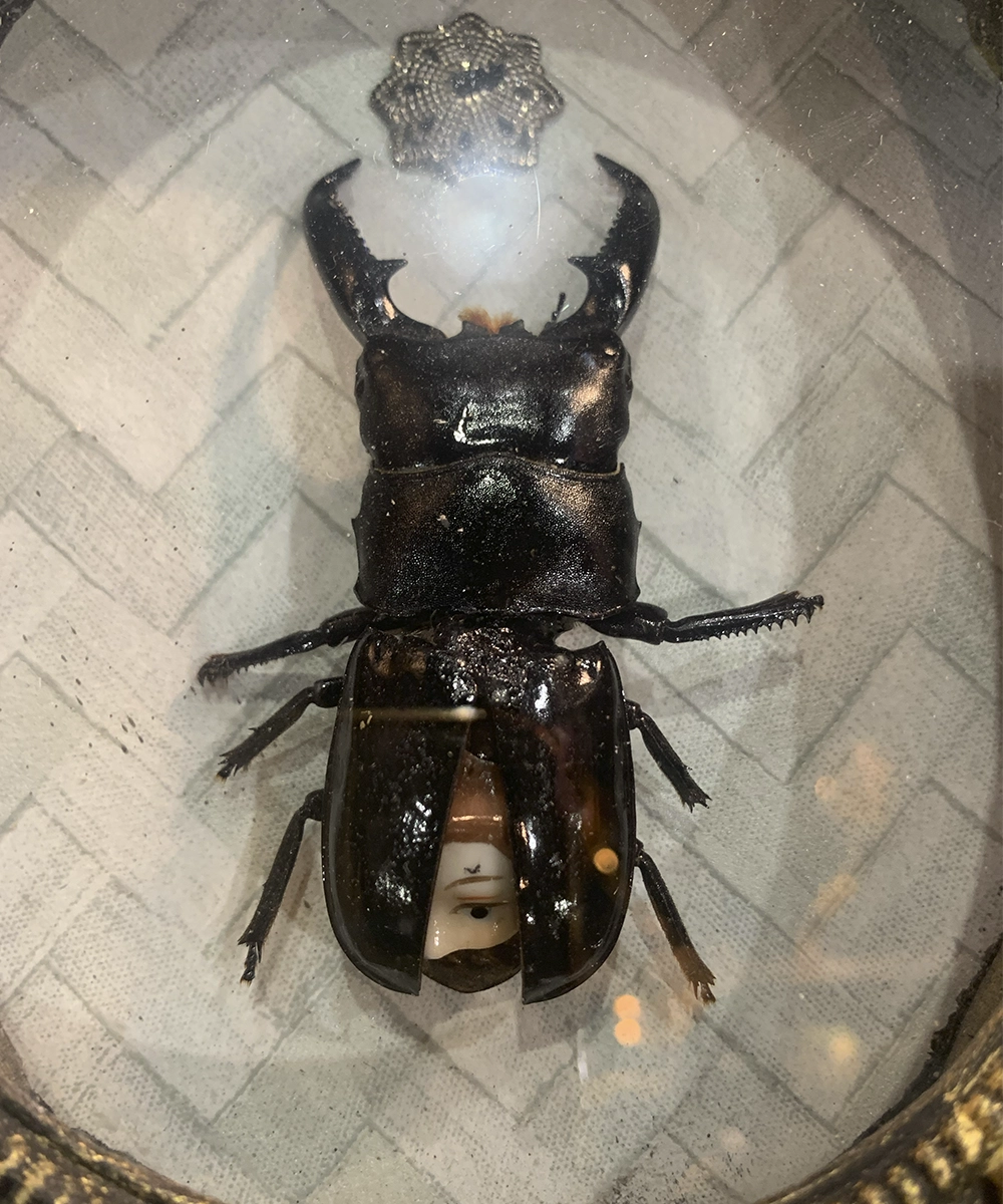 cuadro escarabajo surrealist