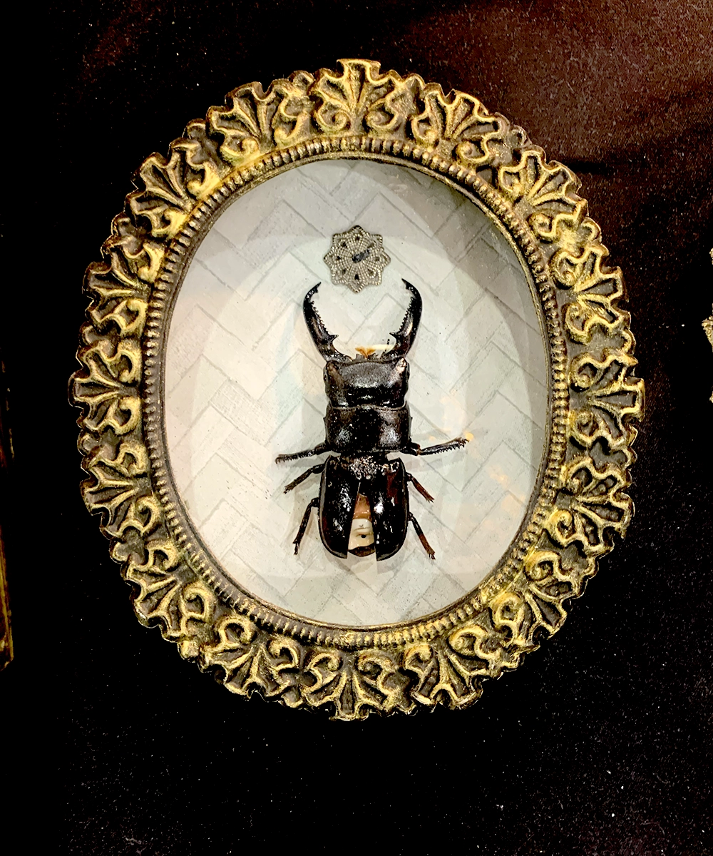 cuadro escarabajo surrealist