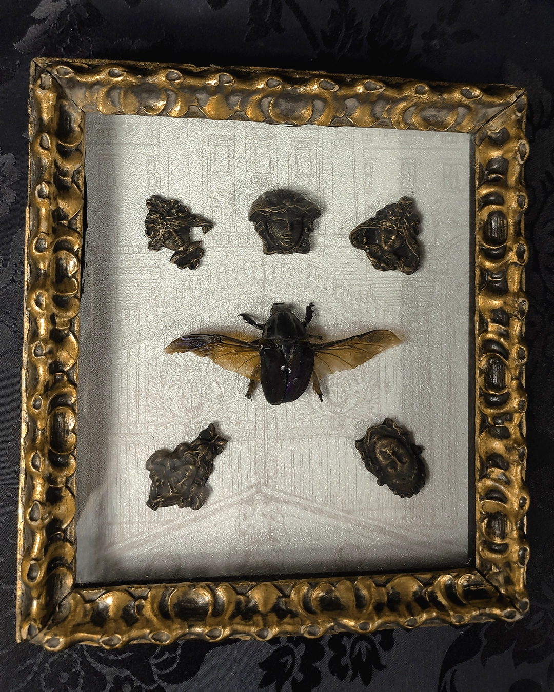 escarabajo en cuadro barroco dorado